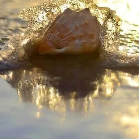 Meltemi And 아파트