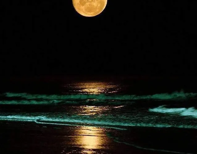 Meltemi And Finikounta