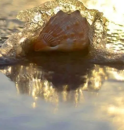 Meltemi And Apartamento