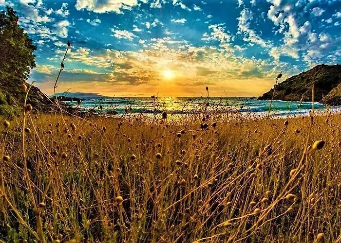 Meltemi And * Finikounta