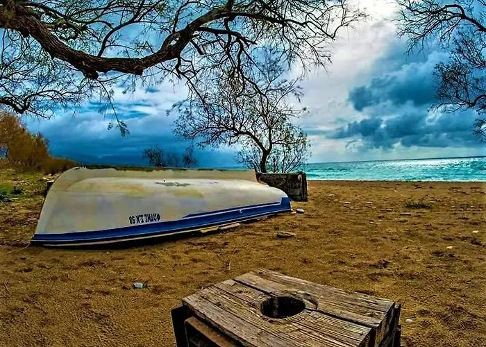 Meltemi And * Finikounta